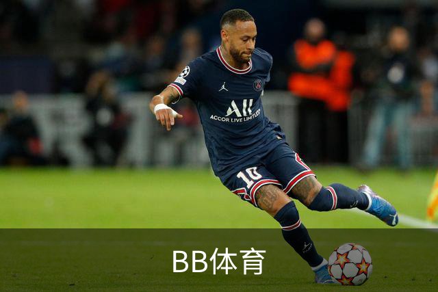 BB体育公司简介